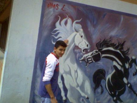 simo +son cheval